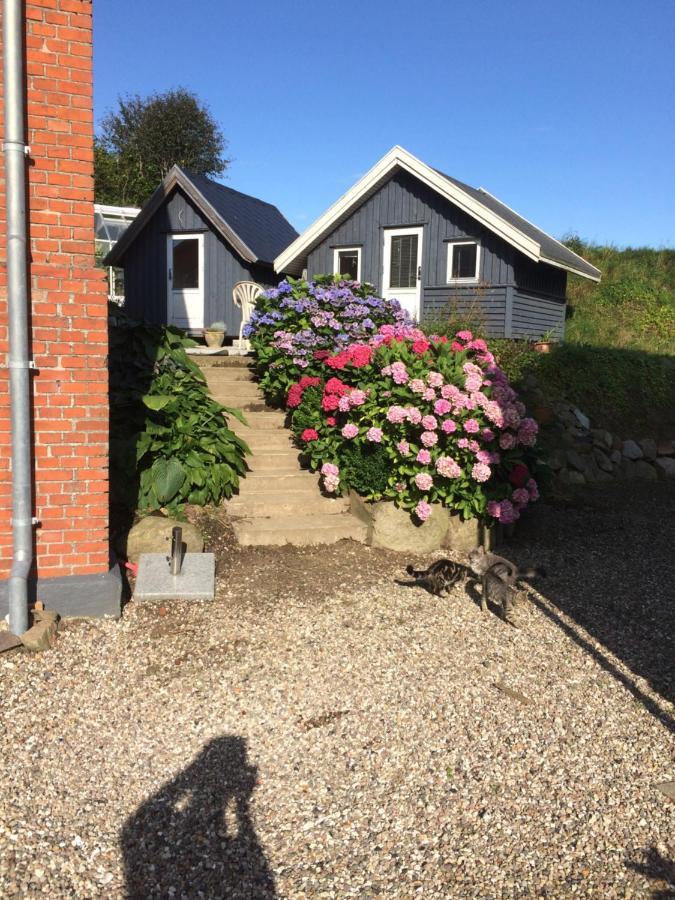 Brorup Kjaersgaard, Hygge, Ro, Natur Og Landliv Skanderborg Extérieur photo