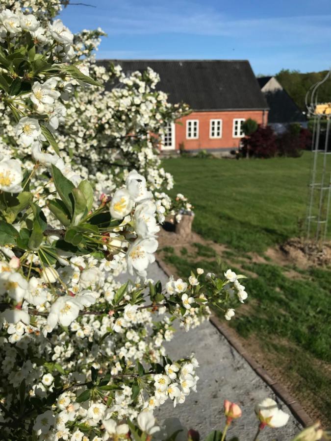Brorup Kjaersgaard, Hygge, Ro, Natur Og Landliv Skanderborg Extérieur photo