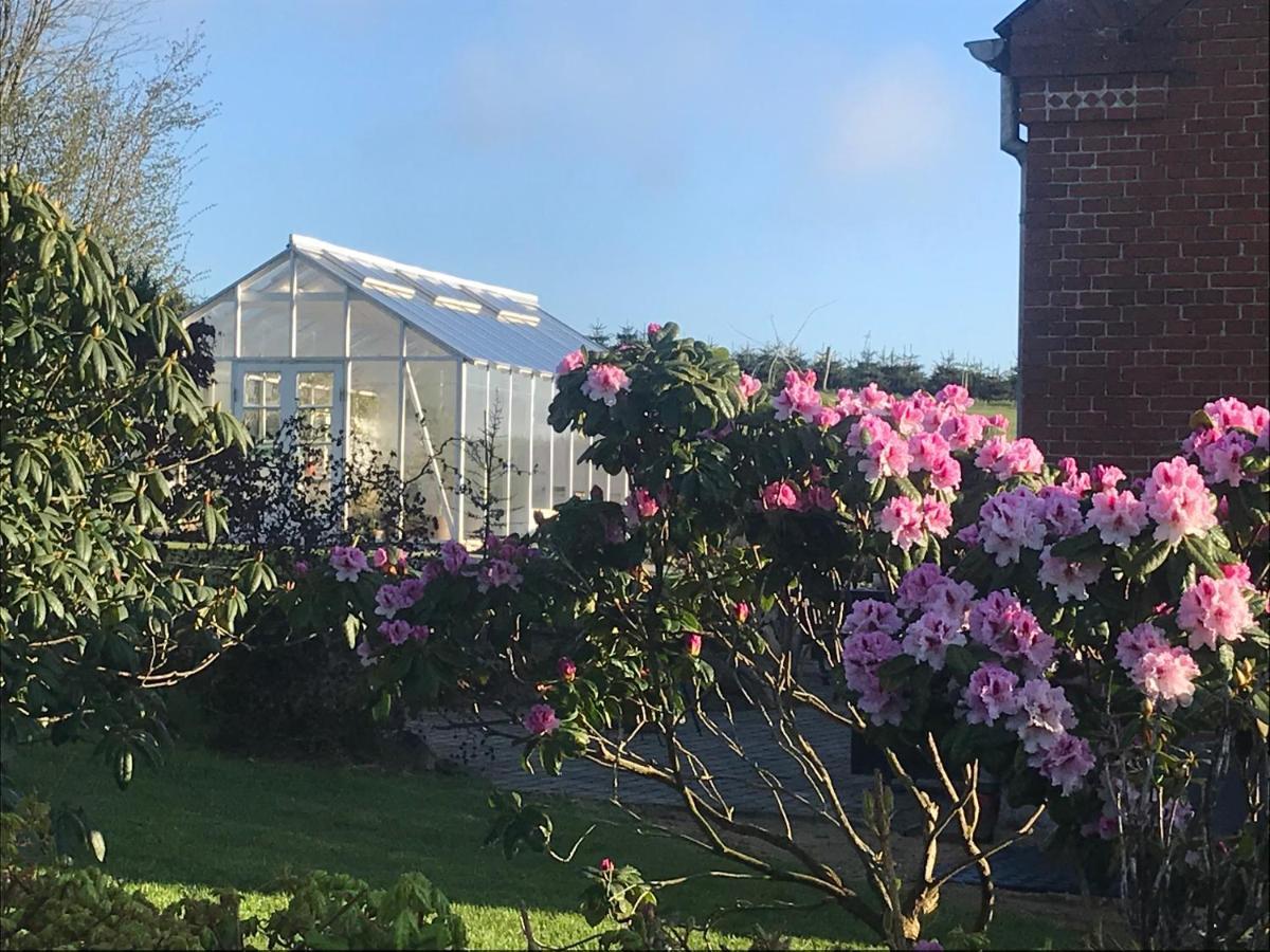 Brorup Kjaersgaard, Hygge, Ro, Natur Og Landliv Skanderborg Extérieur photo