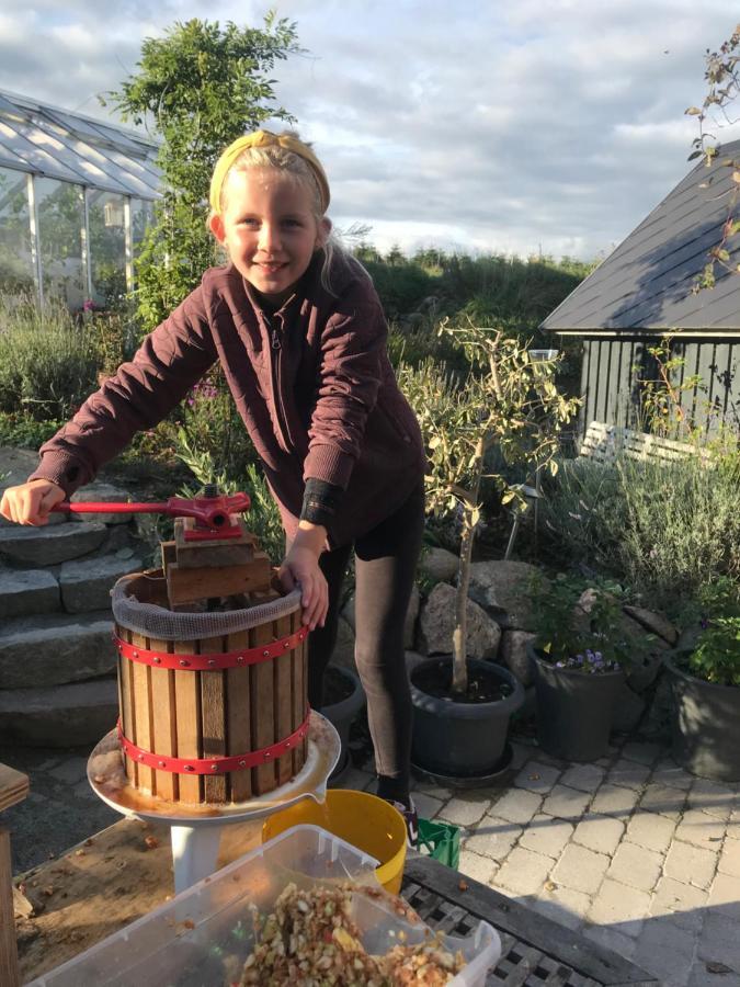 Brorup Kjaersgaard, Hygge, Ro, Natur Og Landliv Skanderborg Extérieur photo
