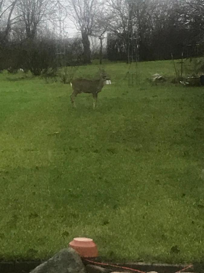 Brorup Kjaersgaard, Hygge, Ro, Natur Og Landliv Skanderborg Extérieur photo