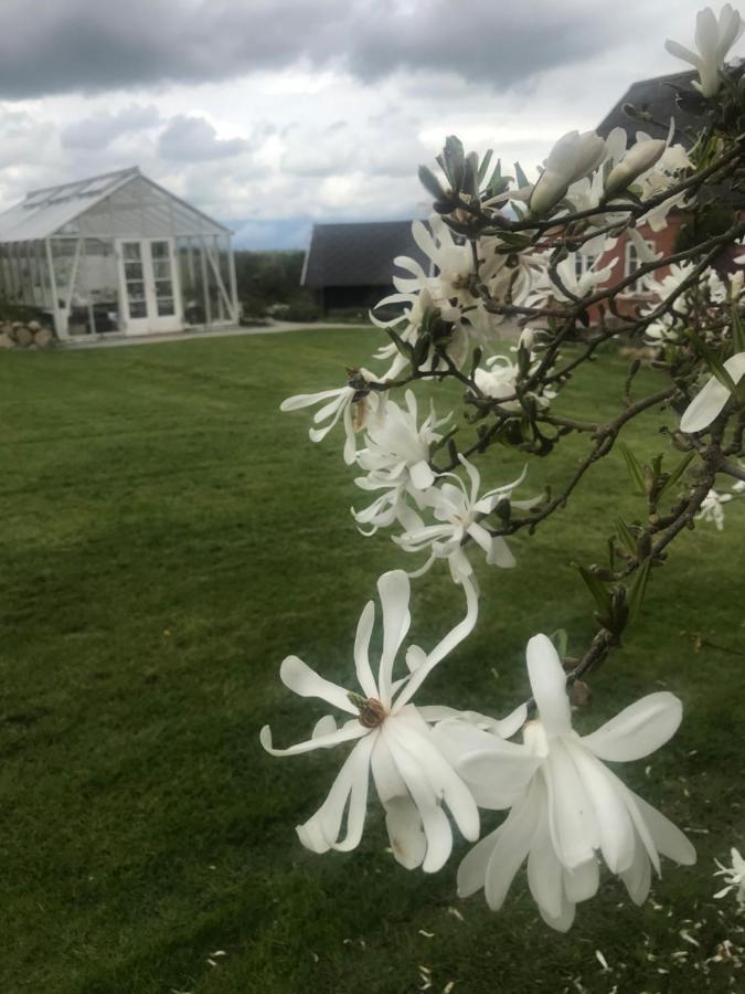 Brorup Kjaersgaard, Hygge, Ro, Natur Og Landliv Skanderborg Extérieur photo