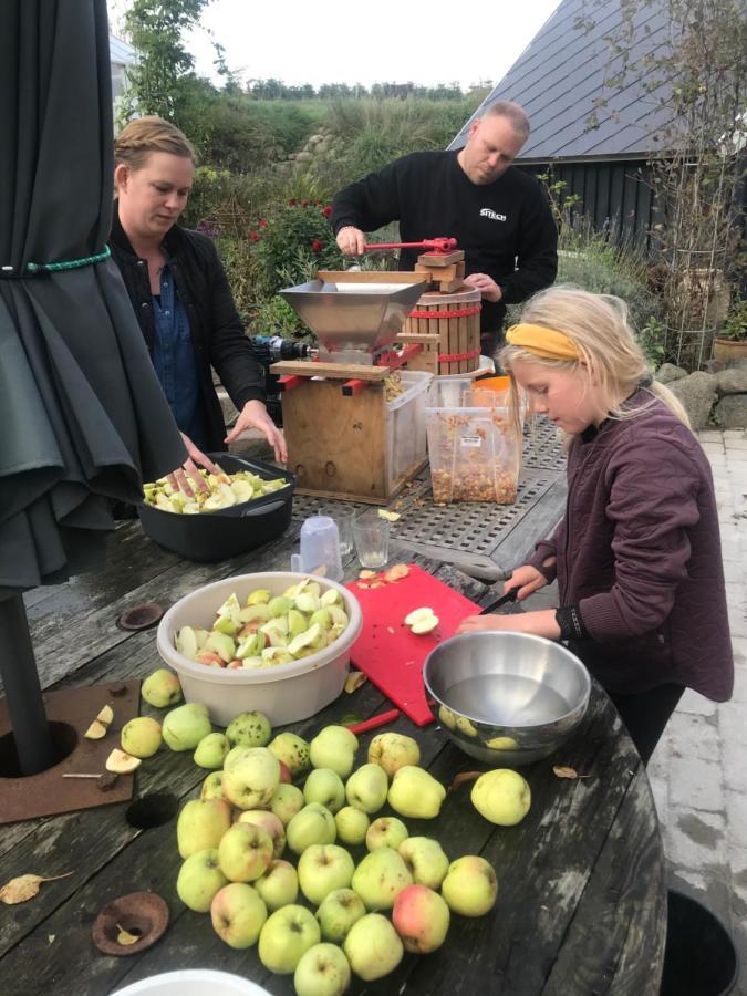 Brorup Kjaersgaard, Hygge, Ro, Natur Og Landliv Skanderborg Extérieur photo