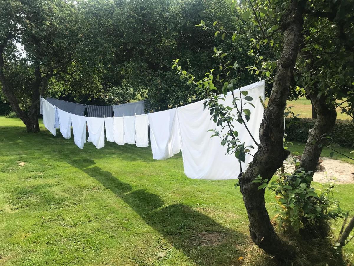 Brorup Kjaersgaard, Hygge, Ro, Natur Og Landliv Skanderborg Extérieur photo