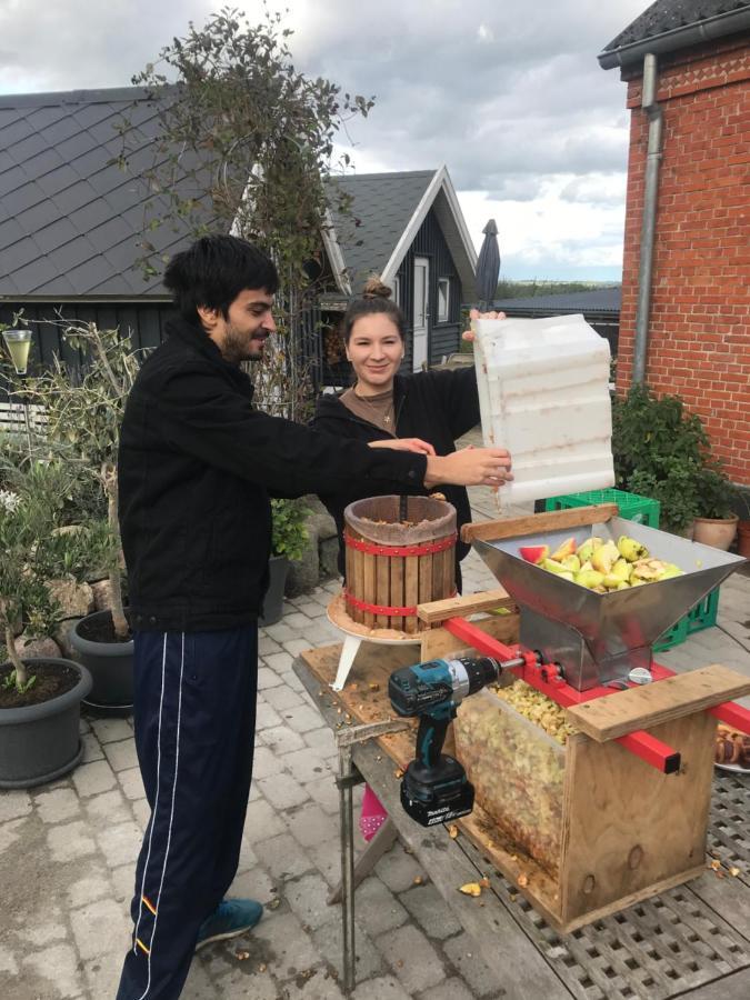 Brorup Kjaersgaard, Hygge, Ro, Natur Og Landliv Skanderborg Extérieur photo